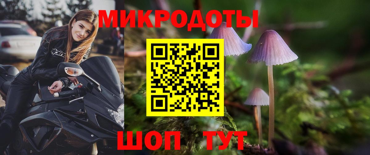 Галлюциногенные грибы Psilocybe Тольятти